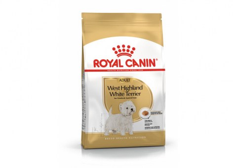WEST HIGHLAND WHITE TERRIER ADULT