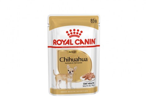 breed-18-chihuahua-s-pouch-85