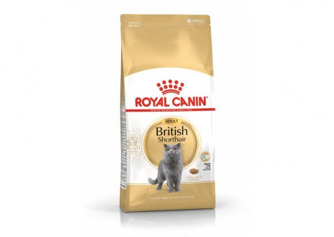 fbn2016-packshot-british-shorthair-adult