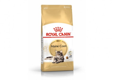 Royal Canin Maine Coon