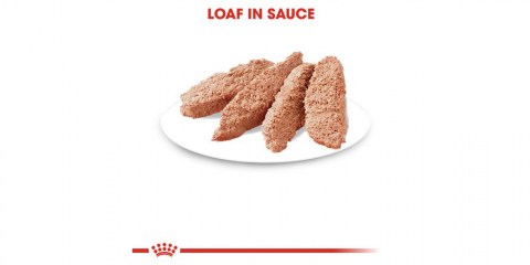 Royal Canin Kiiten in loaf