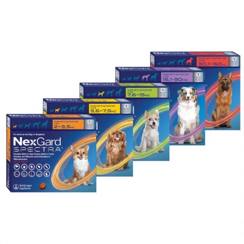 nexgard-spectra-combo6