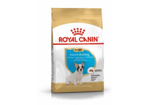 pu-french-bulldog-packshot-bhn18